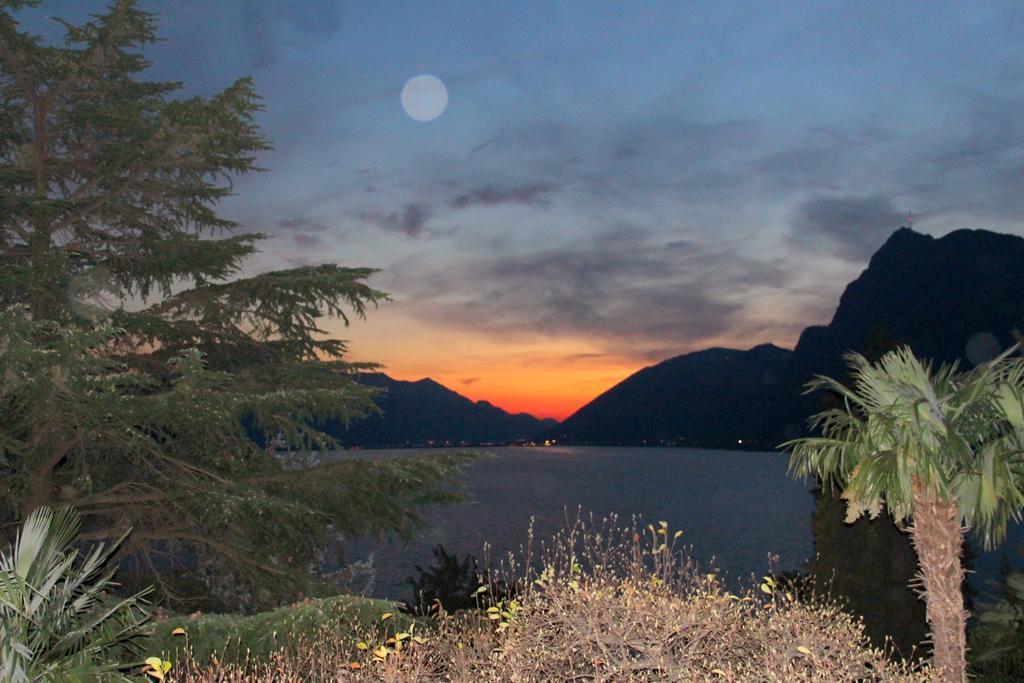 Barony Olive 2 Personen Mit Hund Apartment Lugano Bagian luar foto